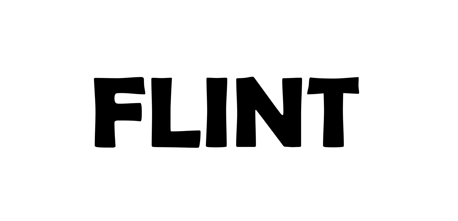 FLINT-kvindehuset