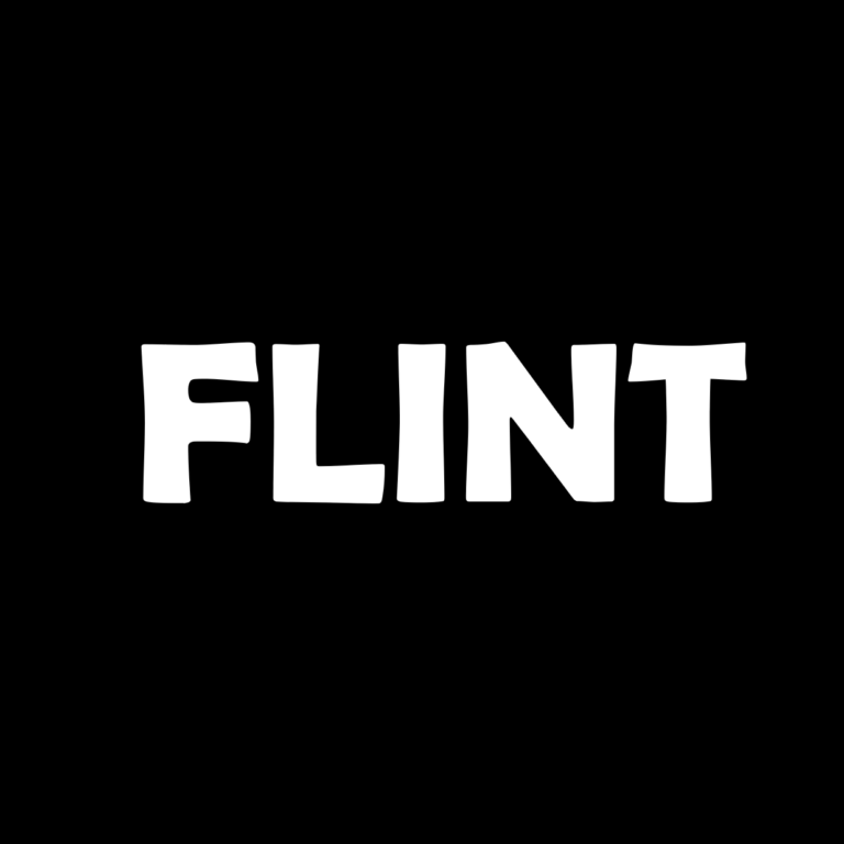 flint-kvindehuset